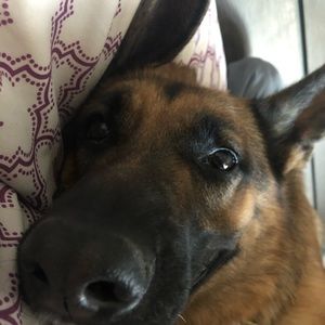 Meet your Posher, Samantha